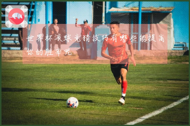世界杯滚球竞猜技巧有哪些能提高你的胜率呢