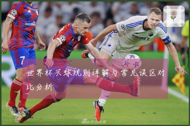 世界杯买球规则详解与常见误区对比分析