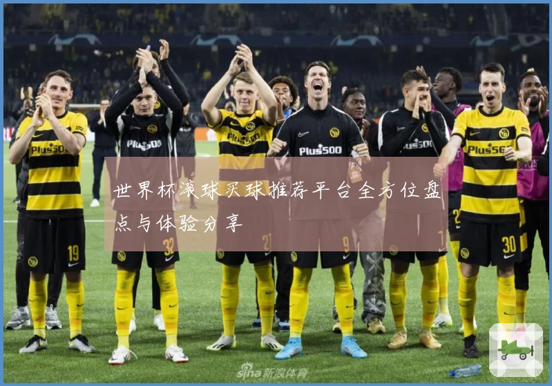 世界杯滚球买球推荐平台全方位盘点与体验分享