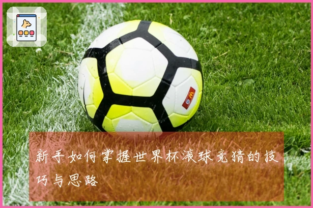 新手如何掌握世界杯滚球竞猜的技巧与思路