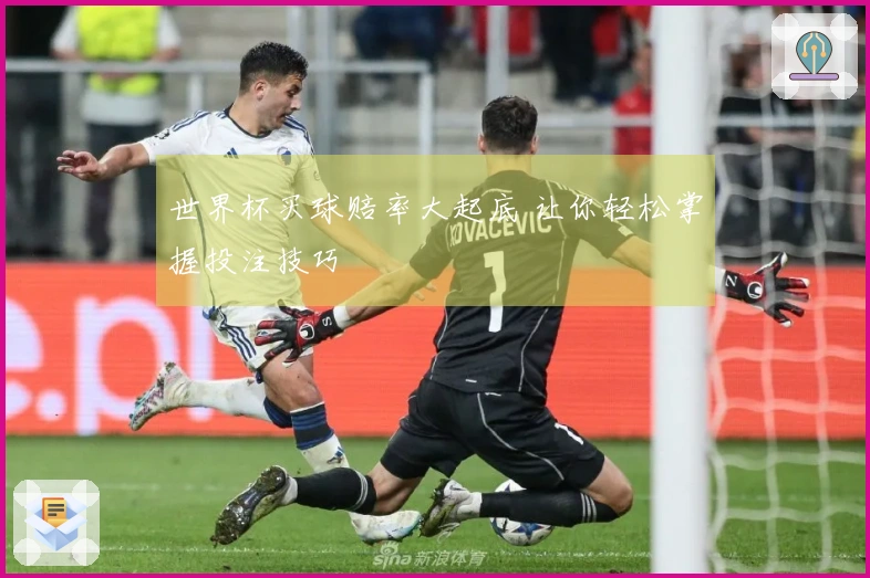 世界杯买球赔率大起底 让你轻松掌握投注技巧