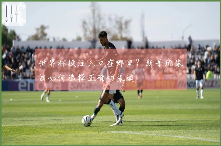 世界杯投注入口在哪里？新手玩家该如何选择正确的渠道