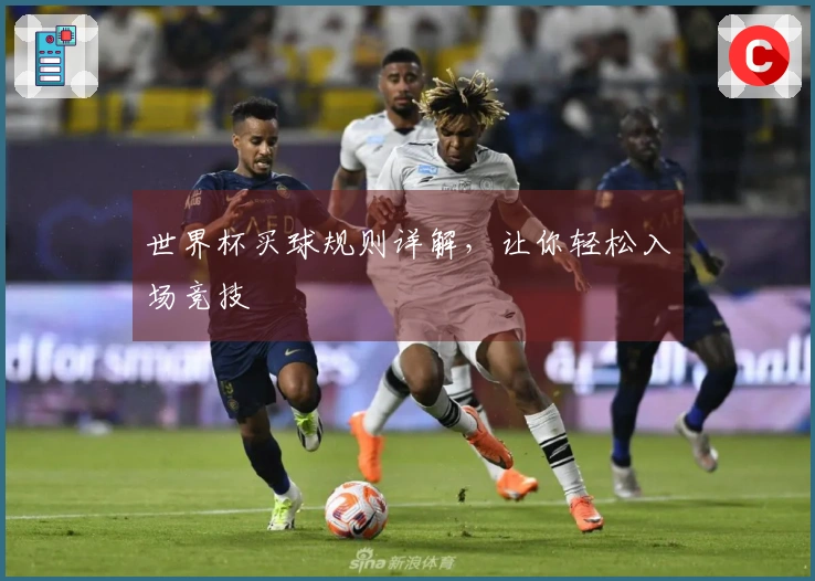 世界杯买球规则详解，让你轻松入场竞技