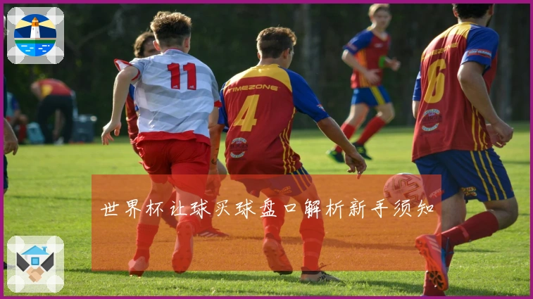 世界杯让球买球盘口解析新手须知