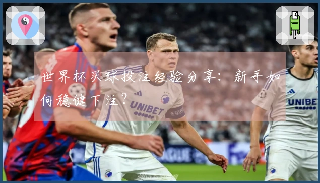 世界杯买球投注经验分享：新手如何稳健下注？