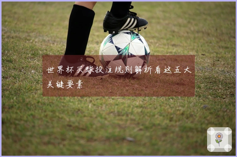 世界杯买球投注规则解析看这五大关键要素