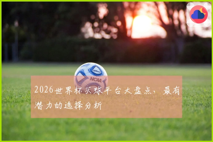 2026世界杯买球平台大盘点，最有潜力的选择分析