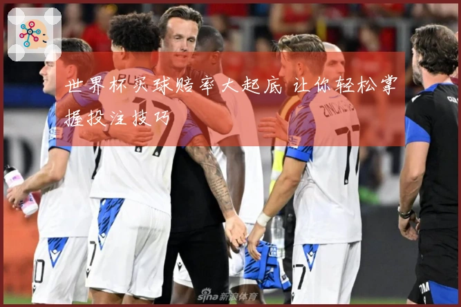 世界杯买球赔率大起底 让你轻松掌握投注技巧