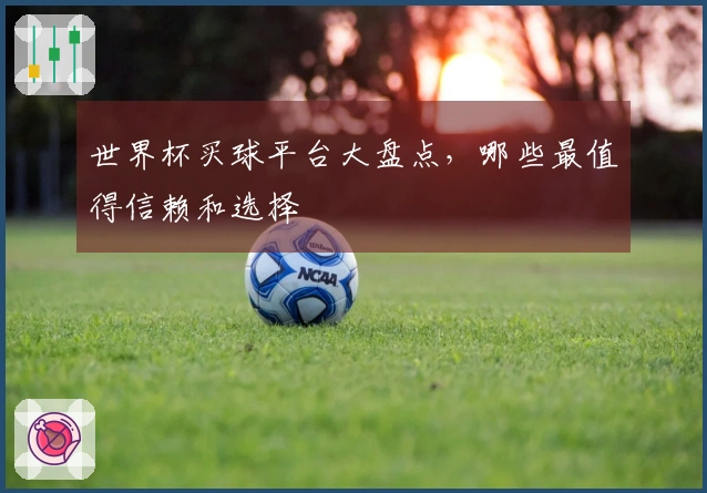 世界杯买球平台大盘点，哪些最值得信赖和选择