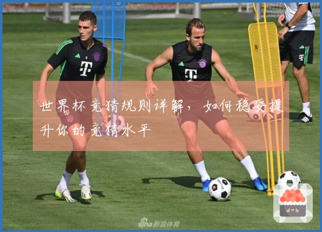 世界杯竞猜规则详解，如何稳妥提升你的竞猜水平