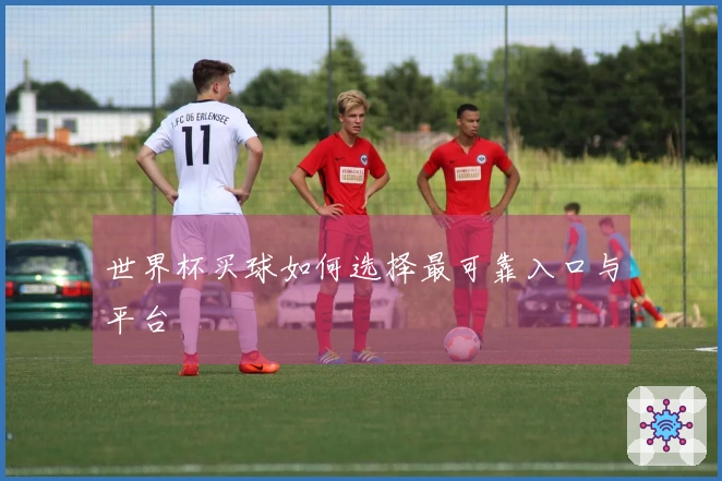 世界杯买球如何选择最可靠入口与平台