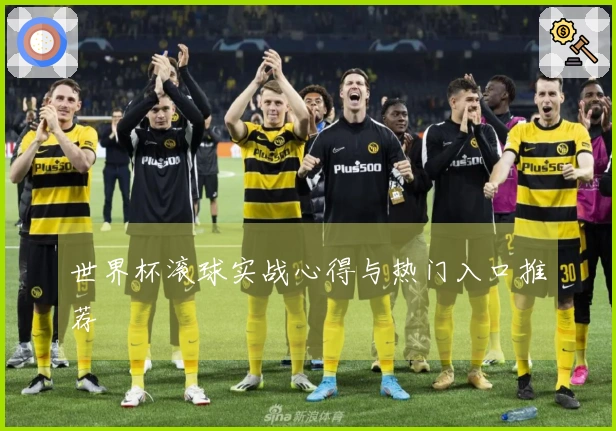 世界杯滚球实战心得与热门入口推荐