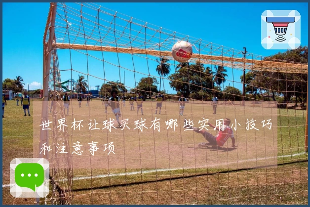 世界杯让球买球有哪些实用小技巧和注意事项