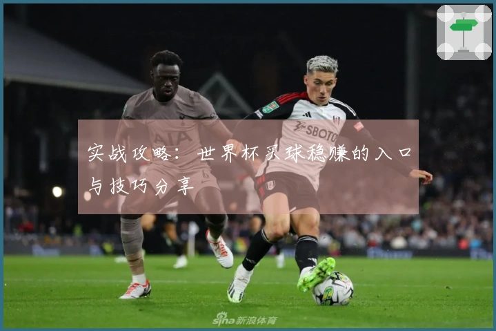 实战攻略：世界杯买球稳赚的入口与技巧分享