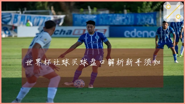 世界杯让球买球盘口解析新手须知