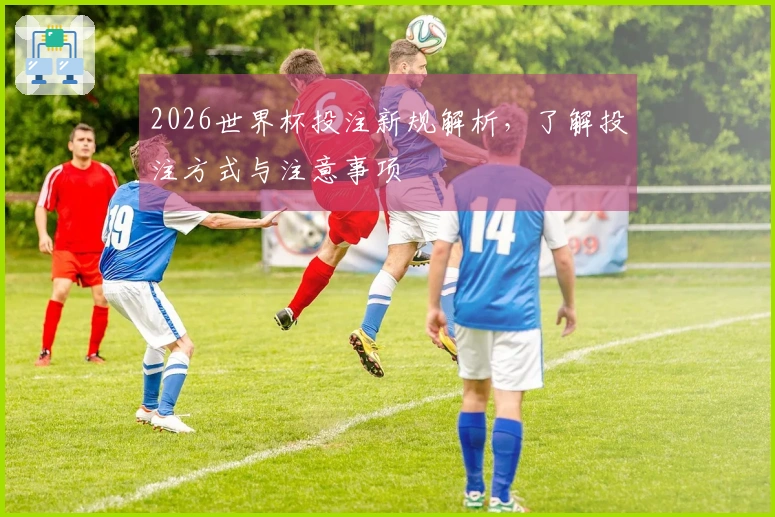 2026世界杯投注新规解析，了解投注方式与注意事项