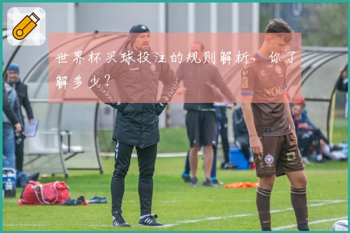 世界杯买球投注的规则解析，你了解多少？