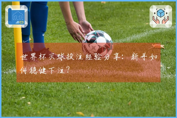世界杯买球投注经验分享：新手如何稳健下注？