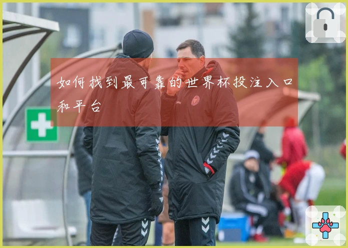 如何找到最可靠的世界杯投注入口和平台
